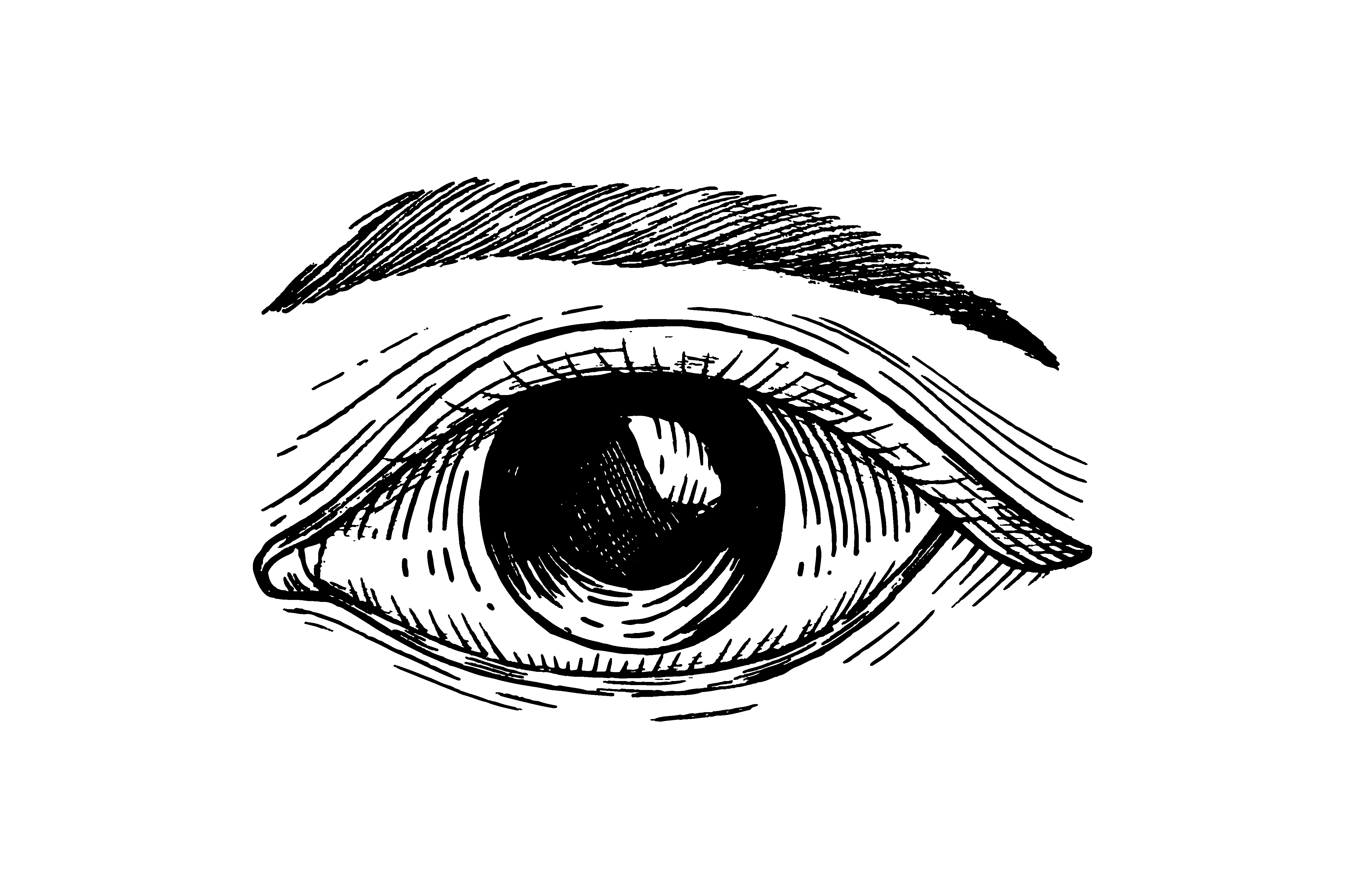 cropped-oeil.png